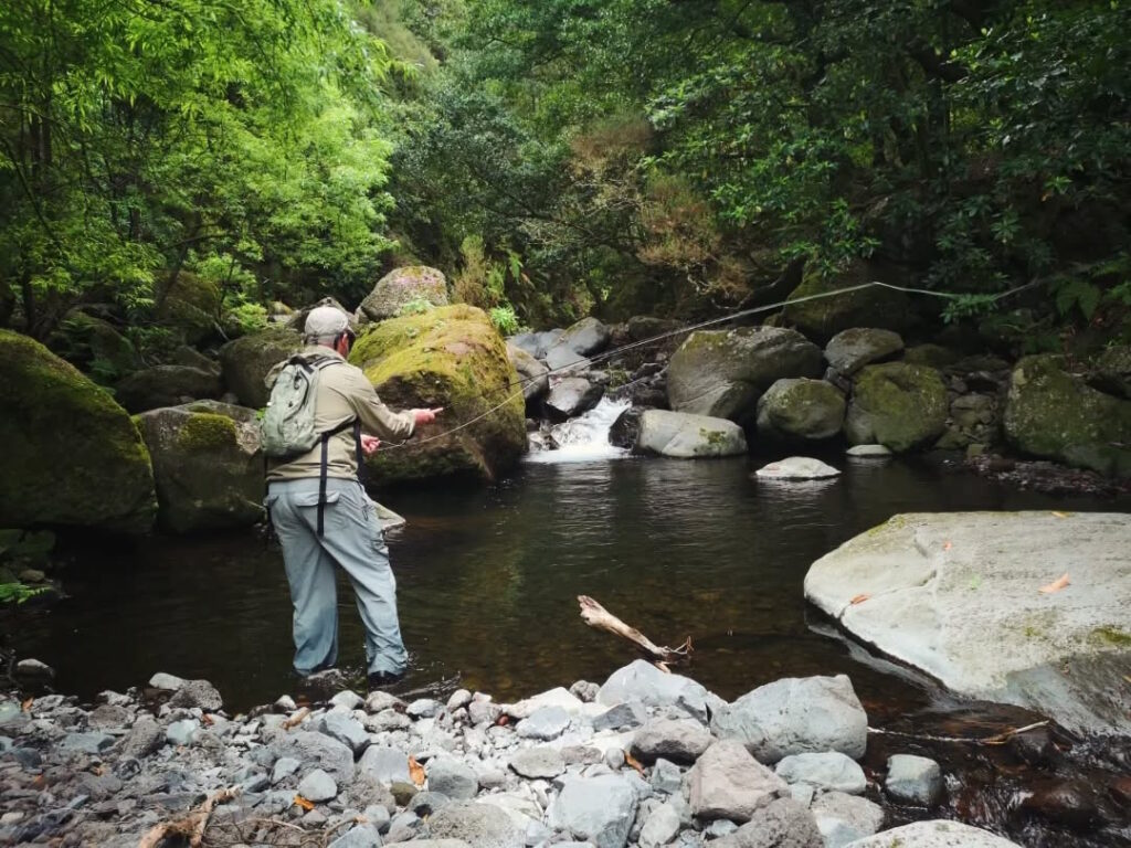 Trout fishing madeira island freshwater