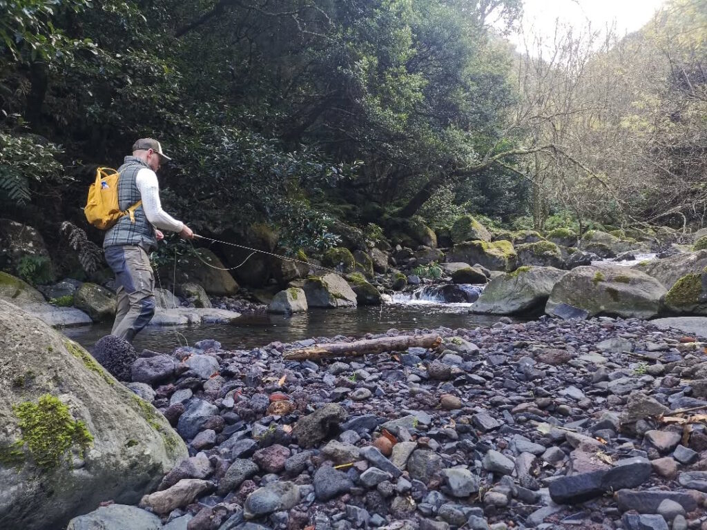 Trout fishing madeira island freshwater