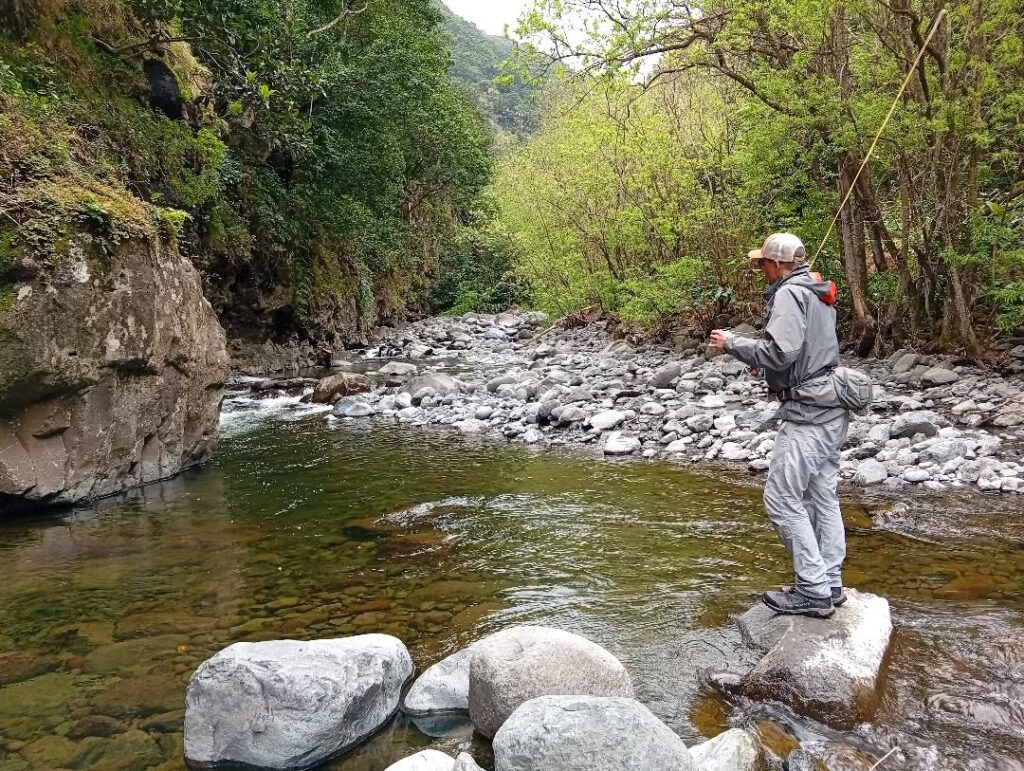 Trout fishing madeira island freshwater